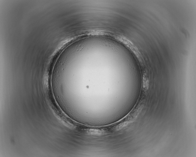 X0000112480347200908311415