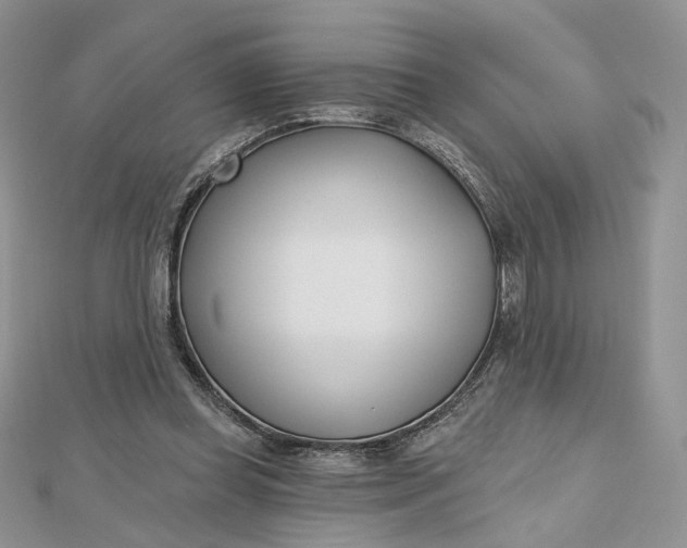 X0000112480349200908311416