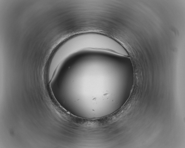 X0000112480350200908311416