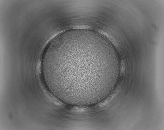 X0000112480351200908311416