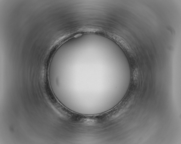 X0000112480352200908311416