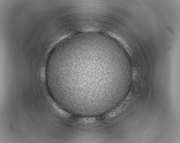 X0000112480353200908311416