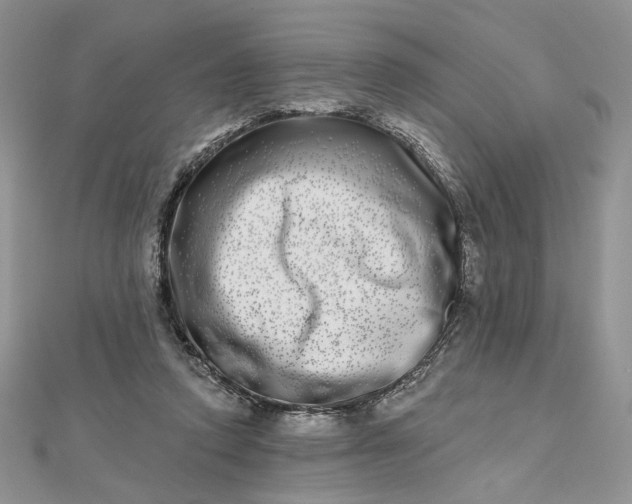 X0000112480354200908311416