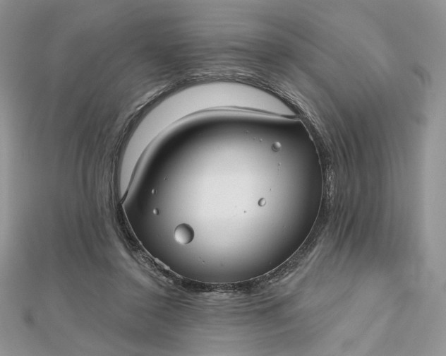 X0000112480356200908311416