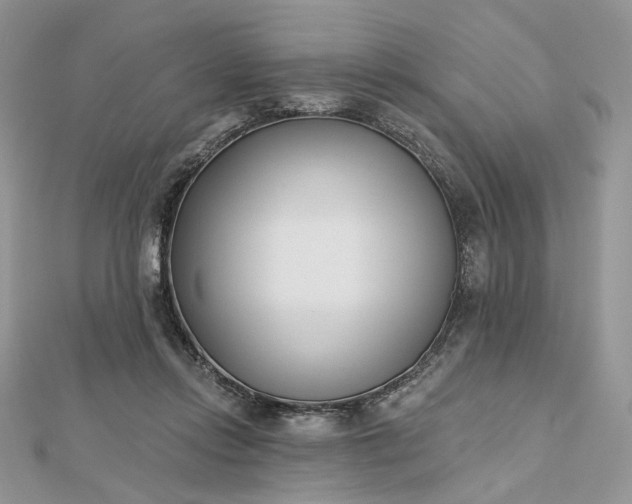 X0000112480358200908311416