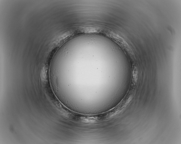 X0000112480359200908311416