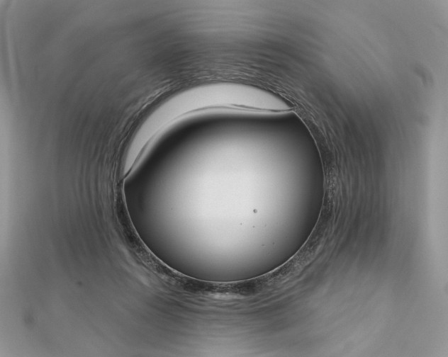 X0000112480360200908311416