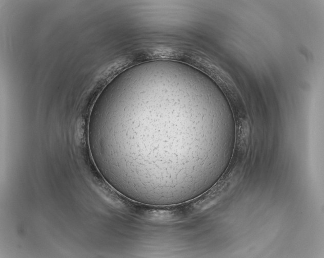 X0000112480361200908311416