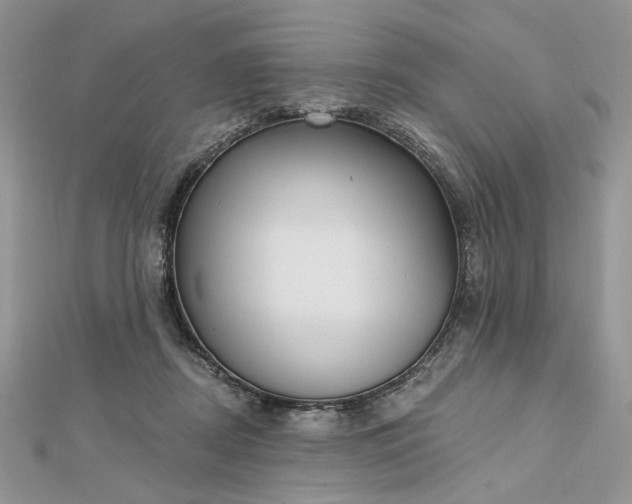 X0000112480362200908311416