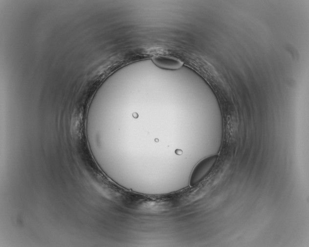 X0000112480364200908311416