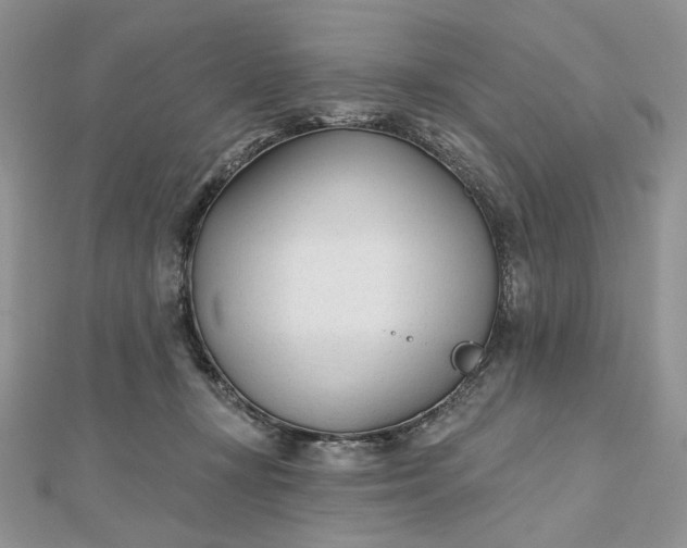 X0000112480367200908311416