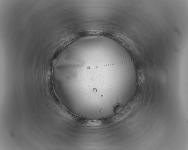 X0000112480369200908311416