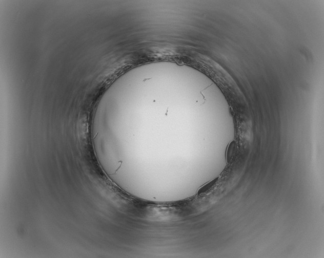 X0000112480372200908311416