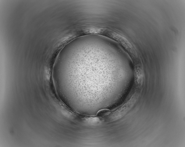 X0000112480374200908311416