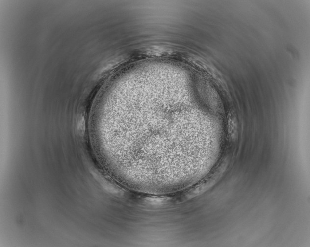 X0000112480375200908311416