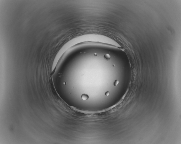 X0000112480376200908311416