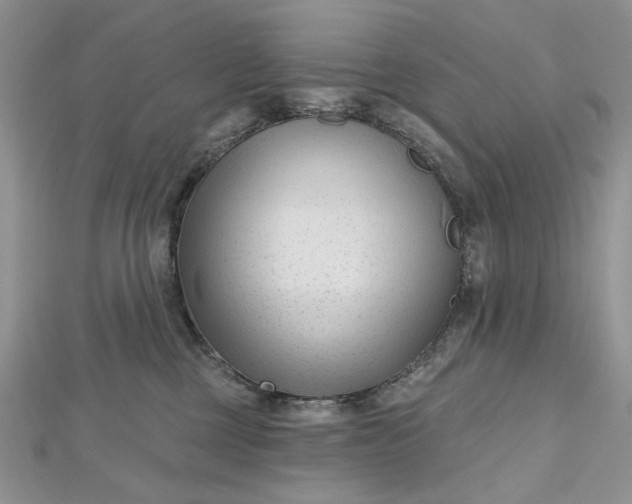 X0000112480377200908311416