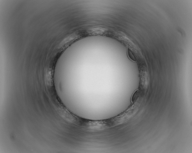 X0000112480378200908311416