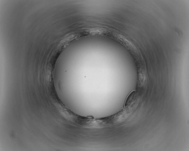 X0000112480379200908311416