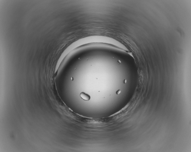 X0000112480380200908311416