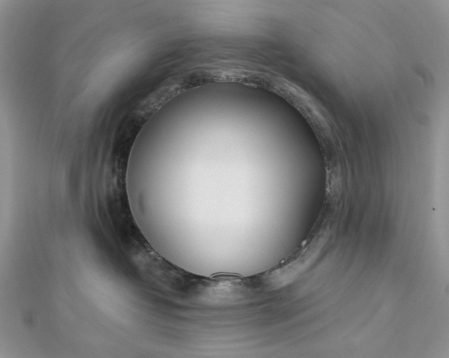 X0000112480382200908311416