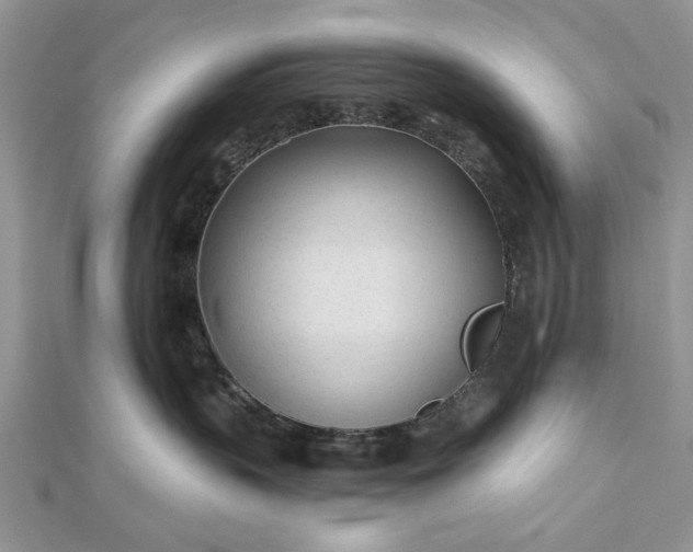 X0000112480383200908311416