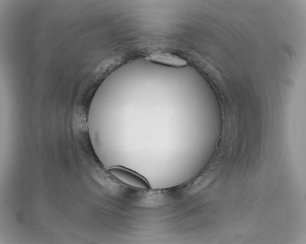 X0000112480384200908311416