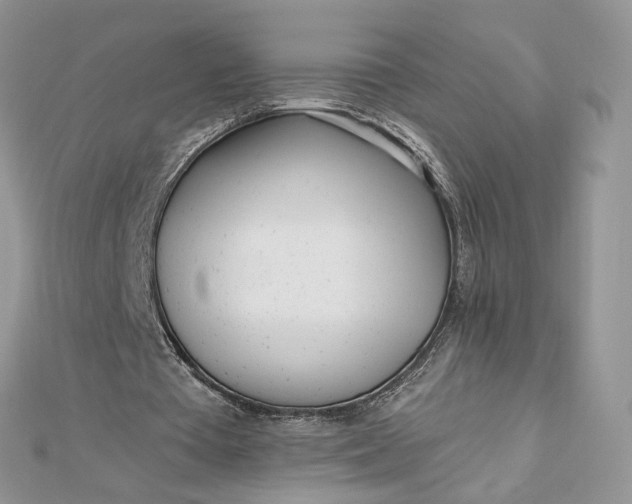 X0000112480385200908311415