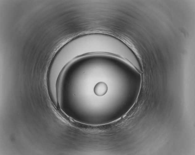 X0000112480389200908311415