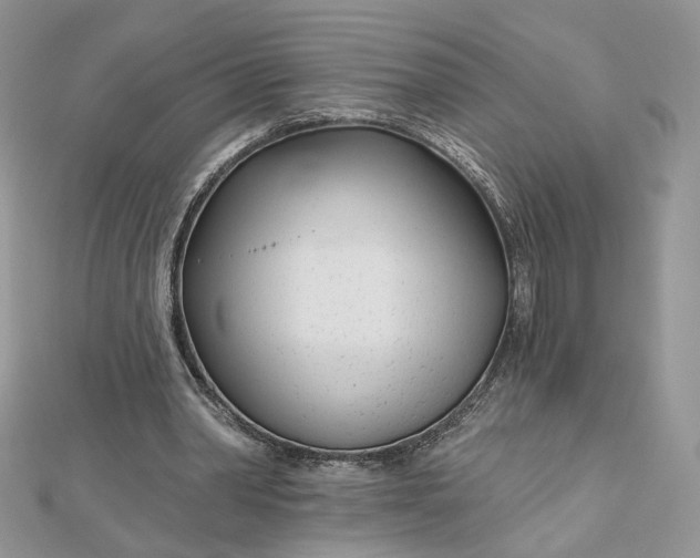 X0000112480390200908311415