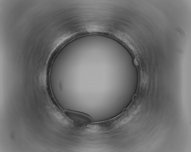 X0000112480391200908311415