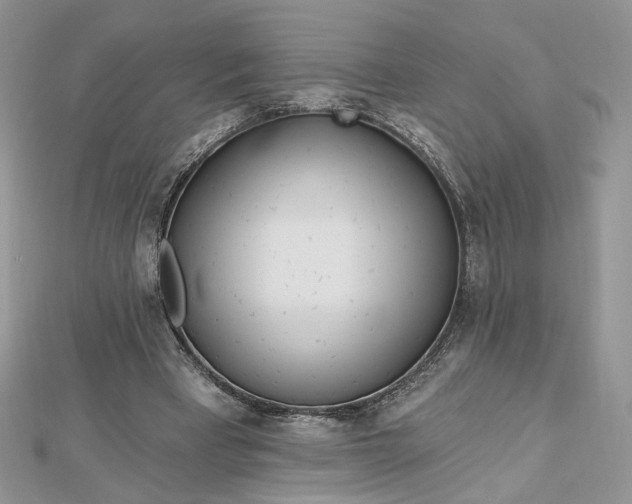 X0000112480393200908311415