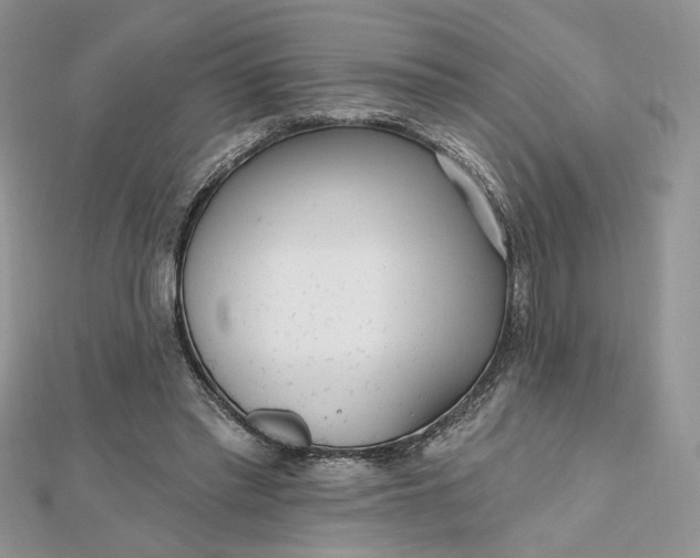 X0000112480397200908311415