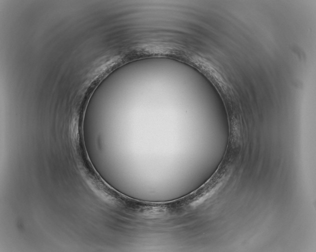 X0000112480398200908311415