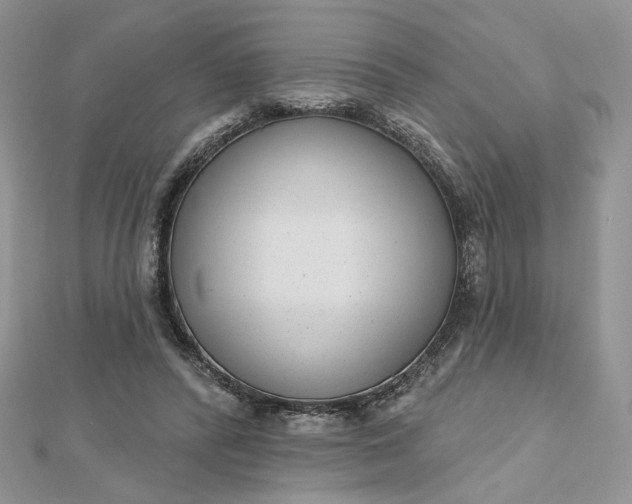 X0000112480400200908311415