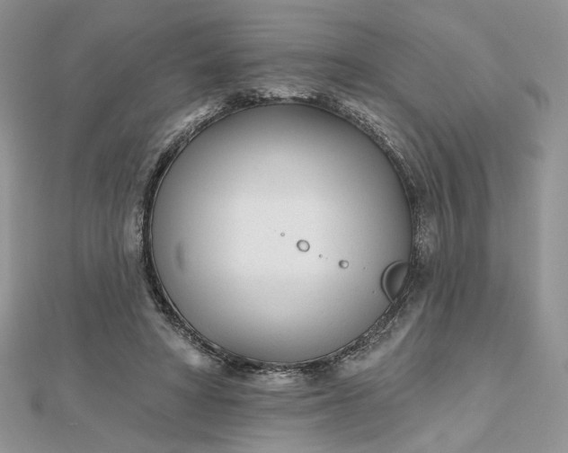 X0000112480402200908311415