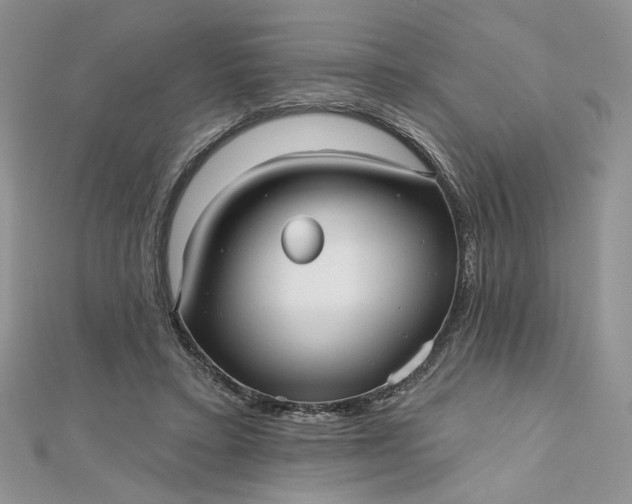 X0000112480403200908311415