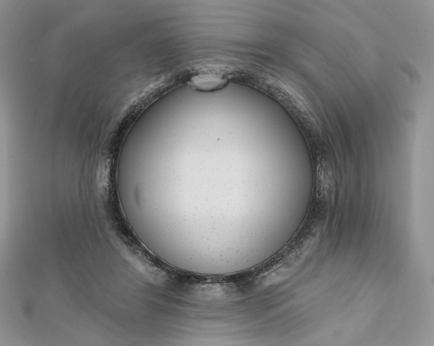 X0000112480404200908311415