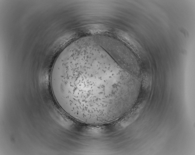 X0000112480405200908311415