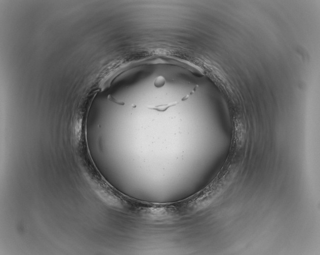 X0000112480406200908311415