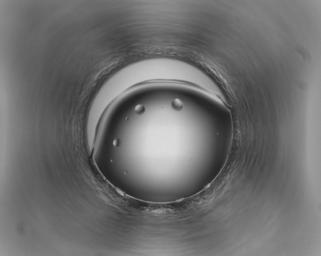 X0000112480407200908311415