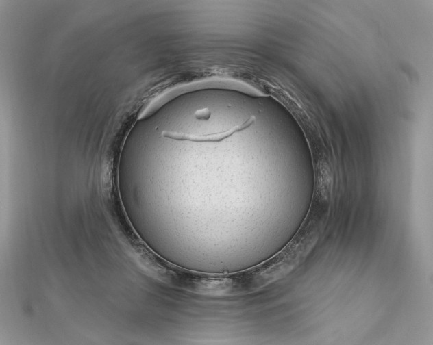 X0000112480410200908311415