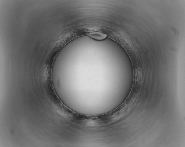 X0000112480412200908311415