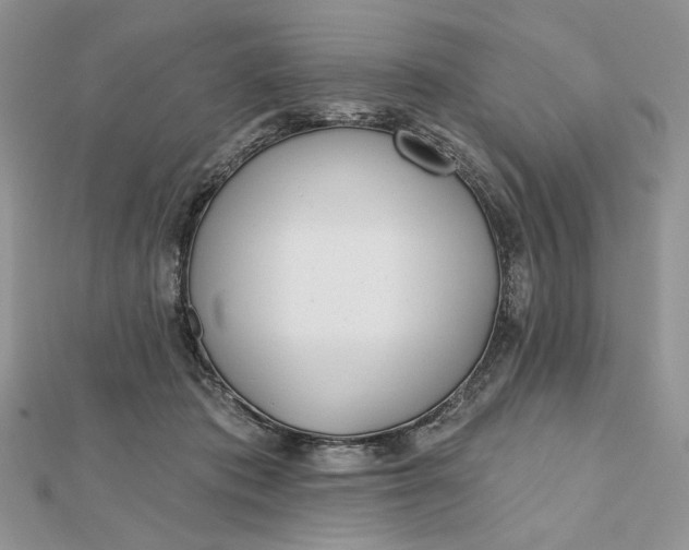 X0000112480413200908311415