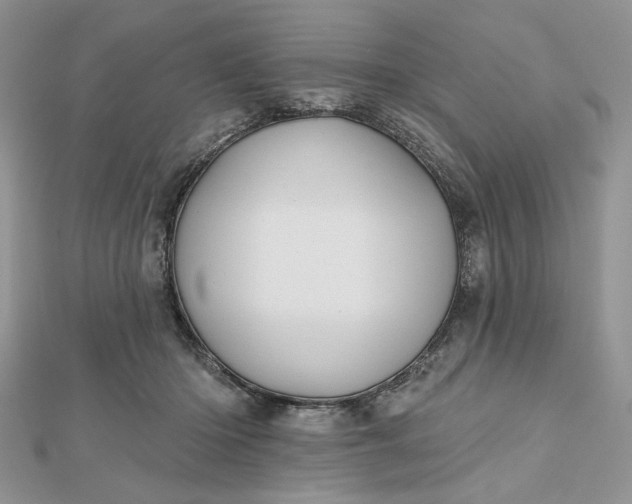 X0000112480414200908311415