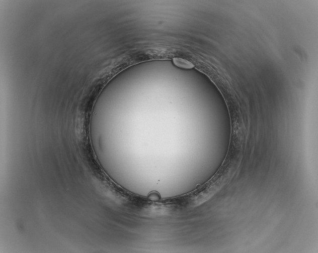 X0000112480416200908311415