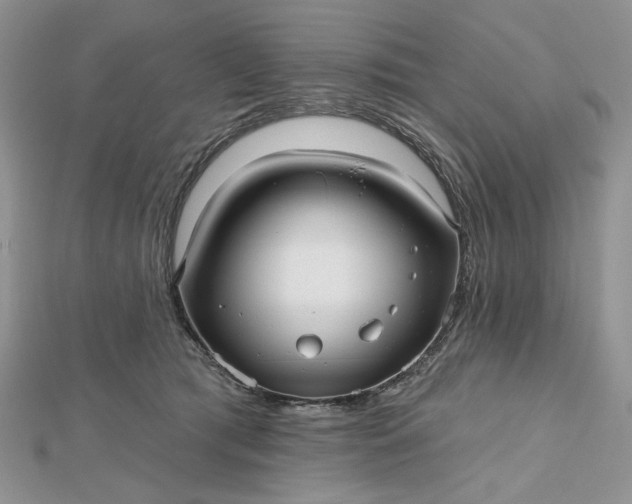 X0000112480417200908311415