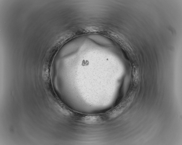 X0000112480418200908311415