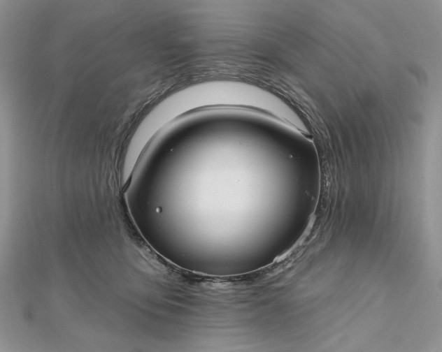 X0000112480419200908311415