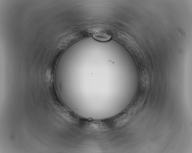 X0000112480420200908311415